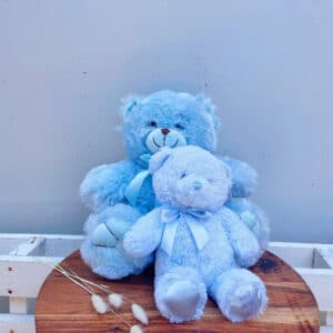 Baby Boy Teddy Bears