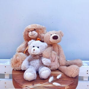 Teddy Bears